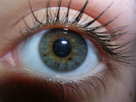 Close Up Of Human Eye By Lightshine On Deviantart