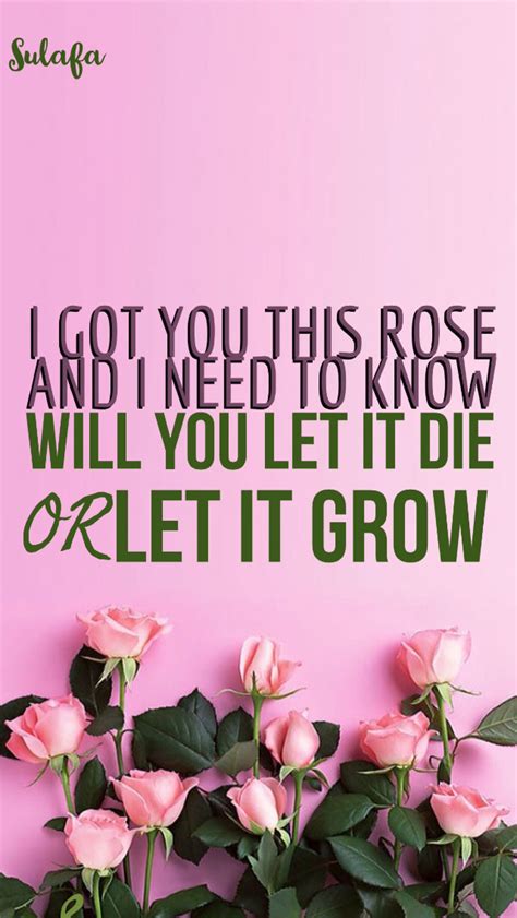 Roses lyrics from Shawn Mendes Song lockscreen wallpaper (With images