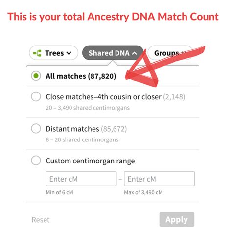How To Count Dna Matches At Ancestry Ongenealogy