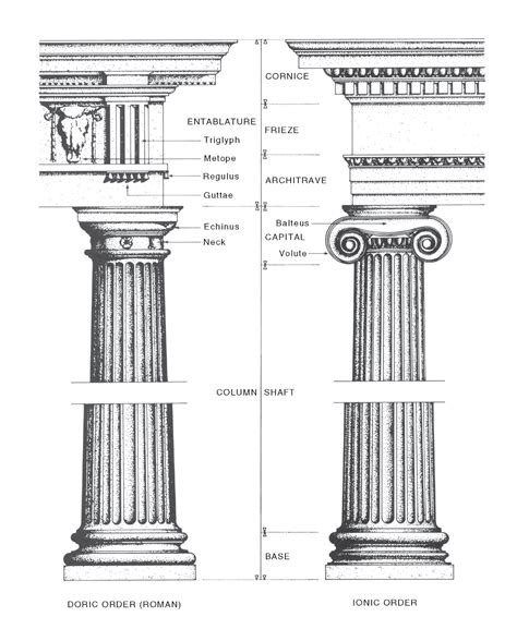 Column Capital National Dictionary Of Building And Plumbing Terms