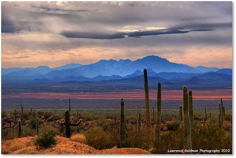 Sonoran Desert Old Tucson Arizona ~ Photographer Lawrence Goldman