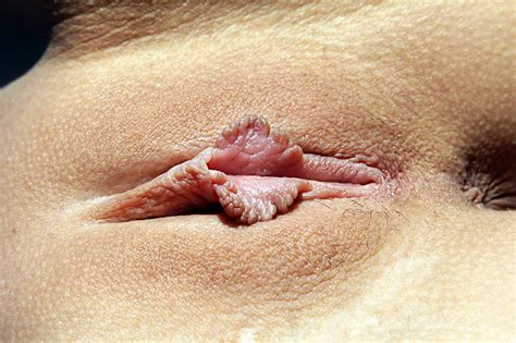 Donne Nude Figa Immagini Perfette Raffiguranti Donne Nude Vagina