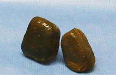 wombat poop cube shaped butts poops make yang scientists finally know fox foxnews hu georgia tech