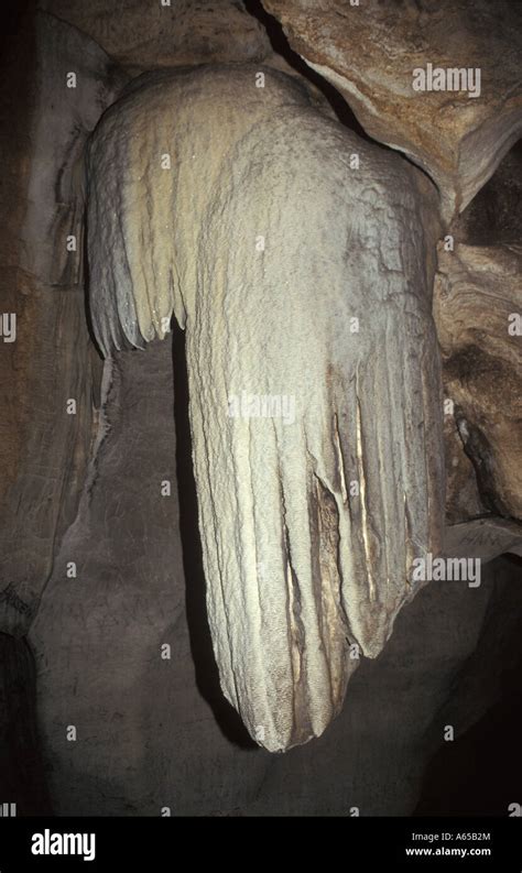 Stalactite In Amboni Cave Is The Most Extensive Limestone Cave In East