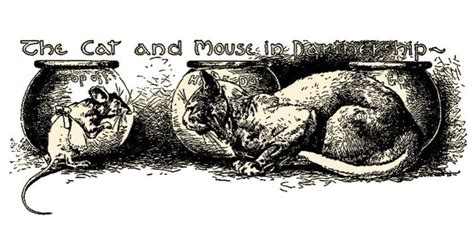 Cat And Mouse In Partnership German Folktale Shortsonline