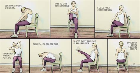 Chair Exercises Low Back Pain