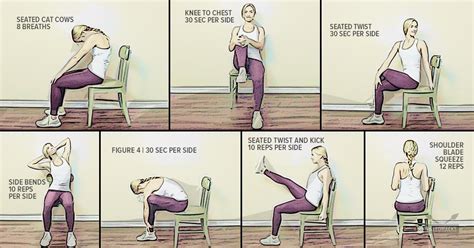 It helps in reduction of lower back pain and available in sizes a, b, and c. 7 Feel-Good Chair Exercises to Relieve Lower Back Pain