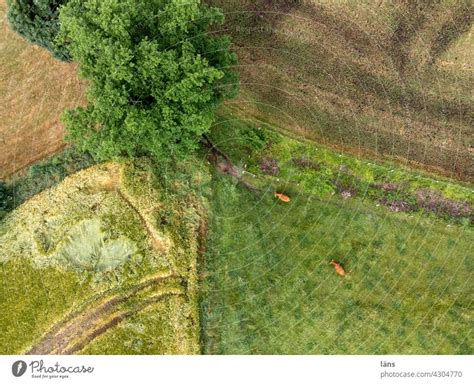 Paddocks From Above L Pastures A Royalty Free Stock Photo From Photocase