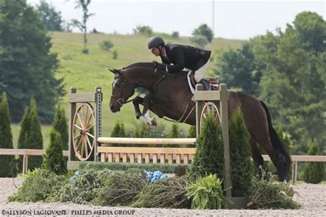 Great Lakes Equestrian Festival To Unveil New And Improved Footing By