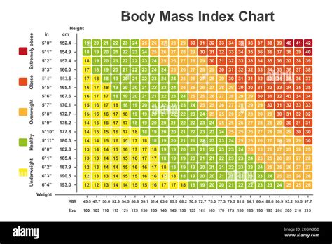 Body Mass Index Chart Illustration Stock Photo Alamy