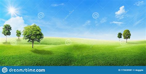 Green Trees With Grass Natural Meadow Field And Little Hill With White