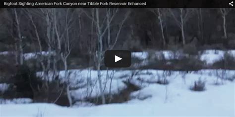 Video Captures Strange Creature In Utah Bigfoot Hotspot