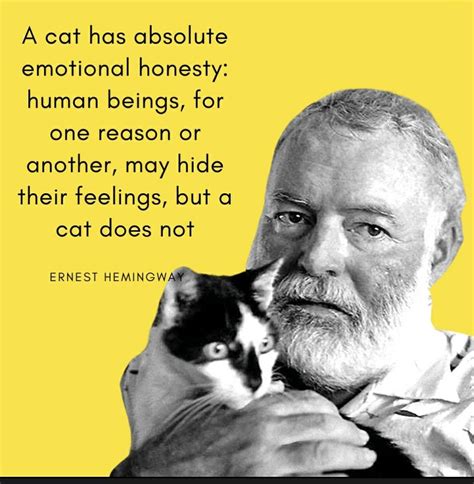 Pin By Shel On Cat Lovers Cat Lover Quote Hemingway Cats Cat Quotes