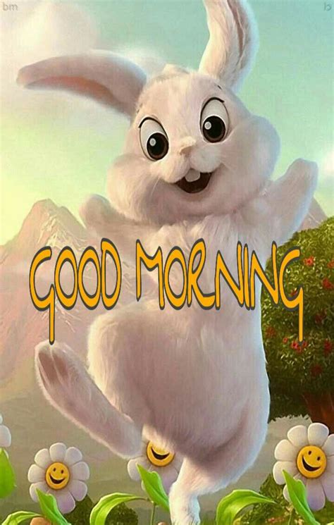 Cute Good Morning Bunny Image