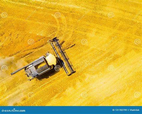 Harvest Of Wheat Field Aerial View To Combine Harvester Stock Image