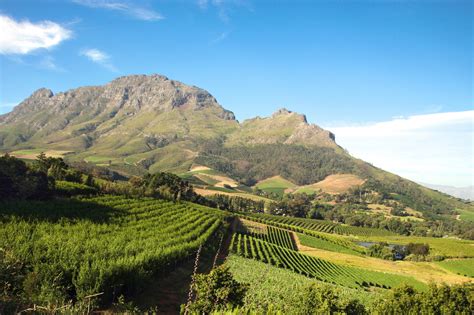 Discover South Africas Under The Radar Wine Destination—franschhoek
