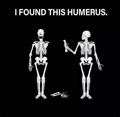 Happy Halloween Chiropractic Humor Physical Therapy Humor Therapy Humor