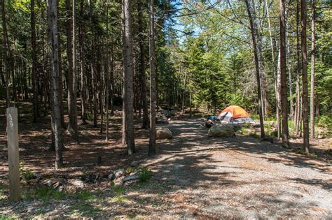 Where To Camp In Acadia National Park