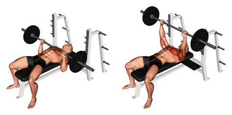 Barbell Bench Press Benefits Muscles Used And More Inspire Us