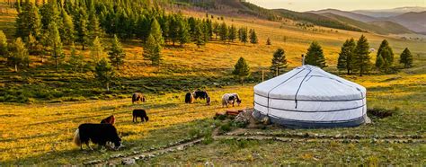 3 Reasons Why Mongolia Is The Perfect Destination For An Unplugged Vacation