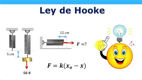 De Que Trata La Ley De Hooke Ecer