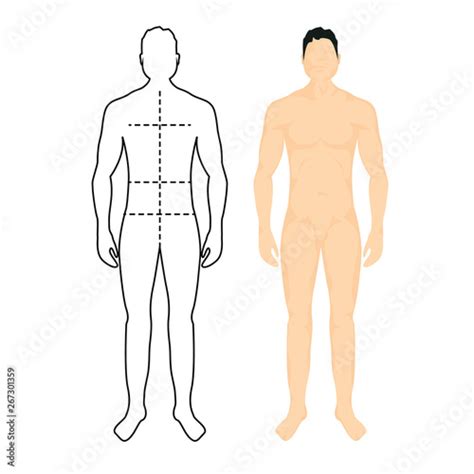 Man Anatomy Silhouette Size Human Body Full Measure Male Figure Waist