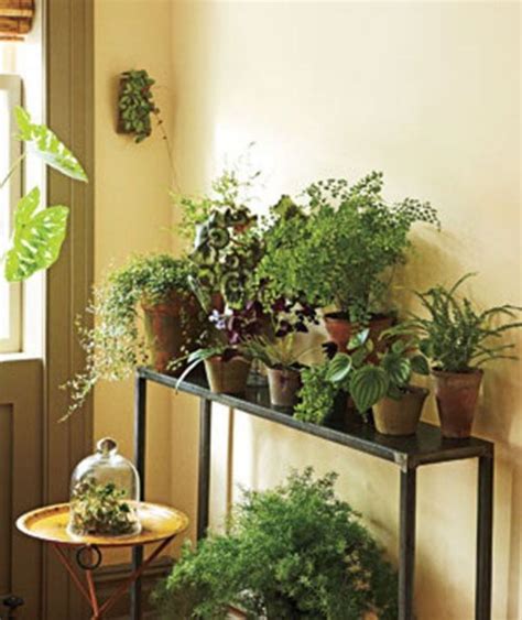 Indoor Plant Table Ideas On Foter