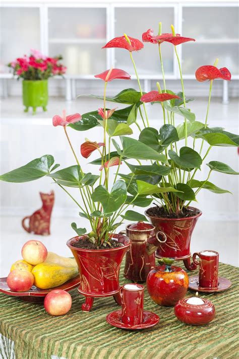 We deliver flowers to dunstable, houghton regis and the surrounding villages, including eaton bray. List of Flower Names With Their Meanings and Alluring ...