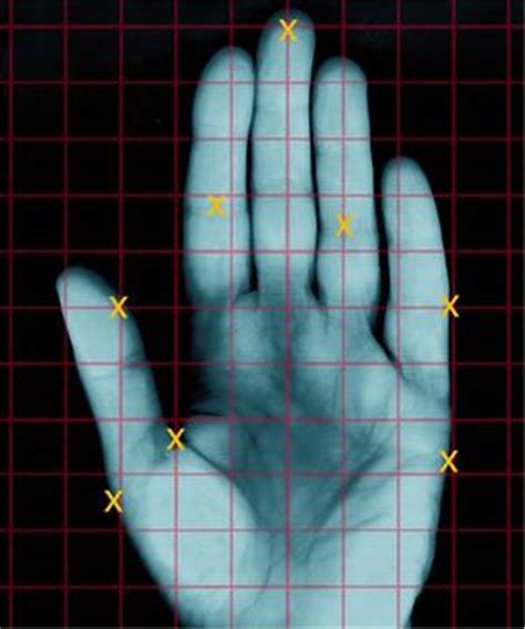 The Key Players In Global Hand Geometry Biometrics Market 2015 2019