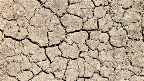 Dry Weather Can Cause Issues For Your Foundation Houston Foundation