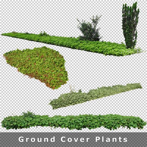Cutout Plants V02 Plants Entourage For Architecture Illustrations