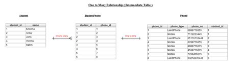 Jpa One To Many Bidirectional Mapping Example Printable Templates