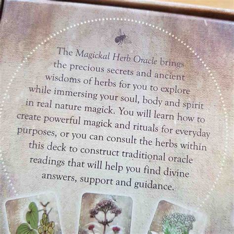 Magickal Herb Oracle Cards Enchanting Secrets From The Garden
