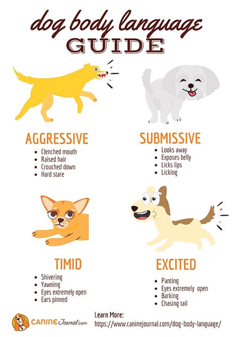 Dogs Body Language Chart
