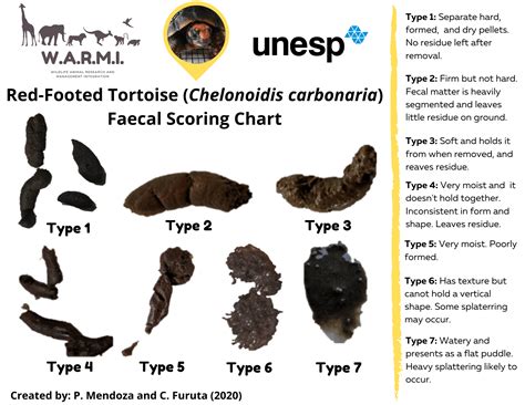 Fecal Condition Scoring Resource Center • Aza Nutrition Advisory Group