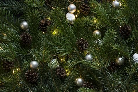Closeup Photo Of Christmas Tree With Ornament And Lighted Lights Photo