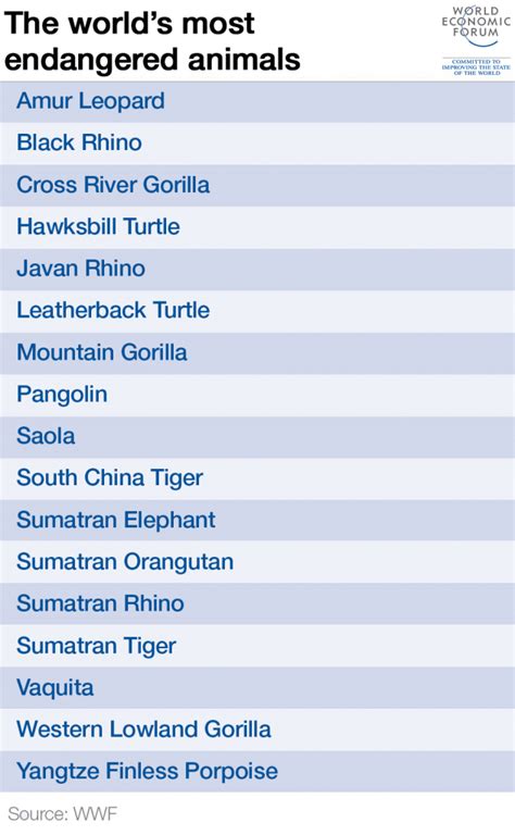 These Are The Worlds Critically Endangered Animals World Economic Forum