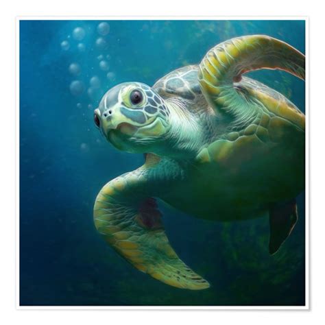 Bubbles The Cute Sea Turtle Posters And Prints