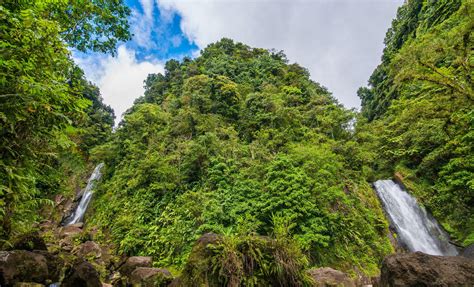 roseau valley shore excursion in dominica snorkel swim hike