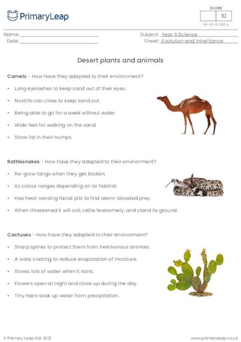 Science Animals And Their Environment Worksheet Uk