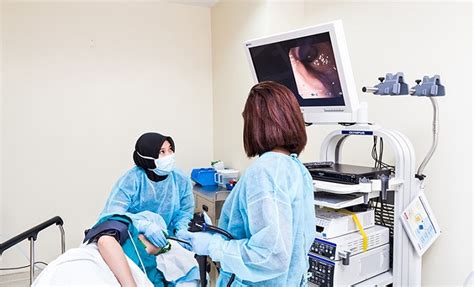 Gastroscopy What Is It Procedure Diagnostics And Treatments Scope Heal