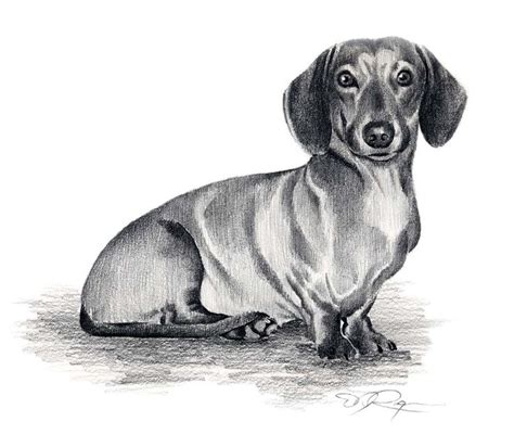 Popular Items For Dachshund Dog Art On Etsy Dachshund Painting