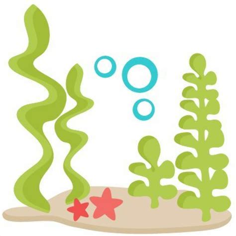 Download High Quality Seaweed Clipart Cute Transparent Png Images Art