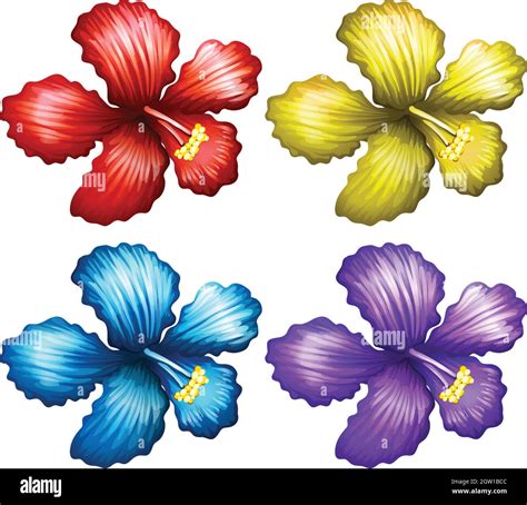 Set Of Gumamela Flowers Stock Vector Image And Art Alamy