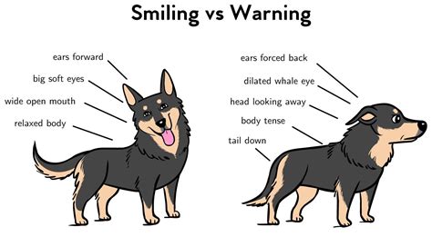 The Pet Professional Guild Canine Communication Dog Body Language
