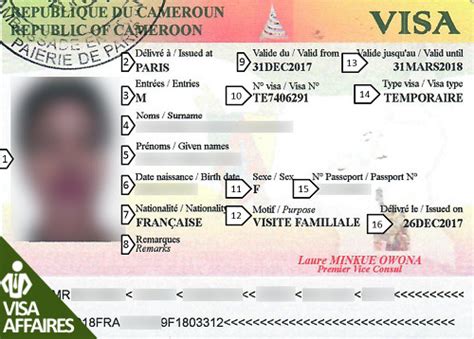 Visa Cameroun Affaires Officiel En 3 Jrs