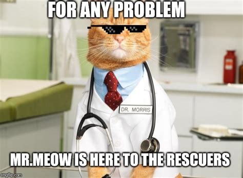 Cat Doctor Imgflip