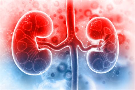 What Are The Signs Of Kidney Disease Atoallinks