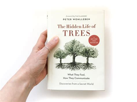 The Hidden Life Of Trees By Peter Wohlleben Greenleaf And Blueberry