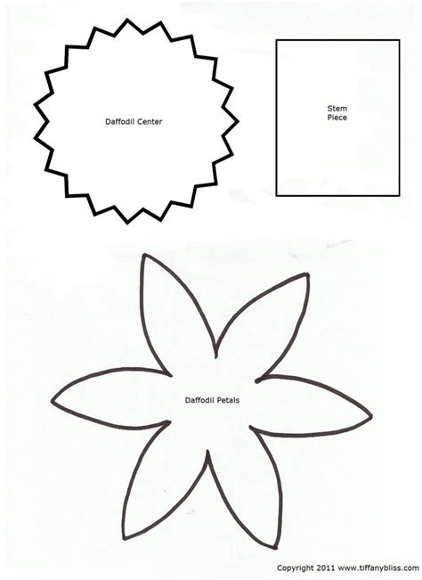 daffodil images ideas  pinterest draw flowers   draw